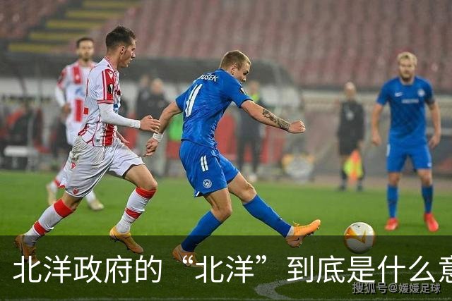 北洋政府的“北洋”到底是什么意思？不是北方洋人的意思