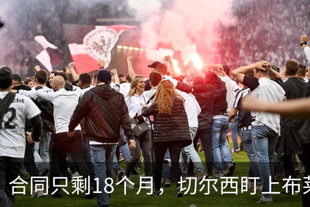 合同只剩18个月，切尔西盯上布莱顿23岁中场阿亚里